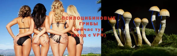 ALPHA-PVP Армянск