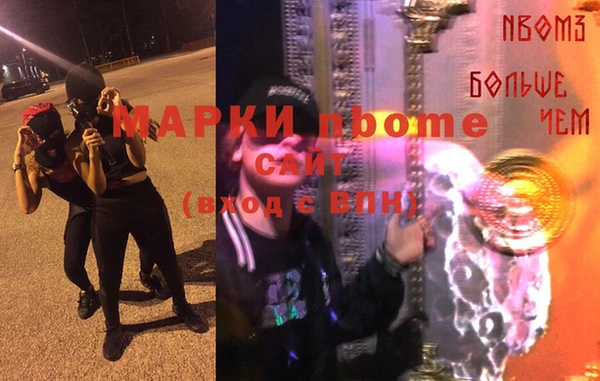 стаф Зеленокумск