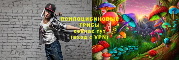 ALPHA-PVP Армянск